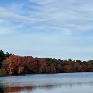 Meet your Posher, Fatima
